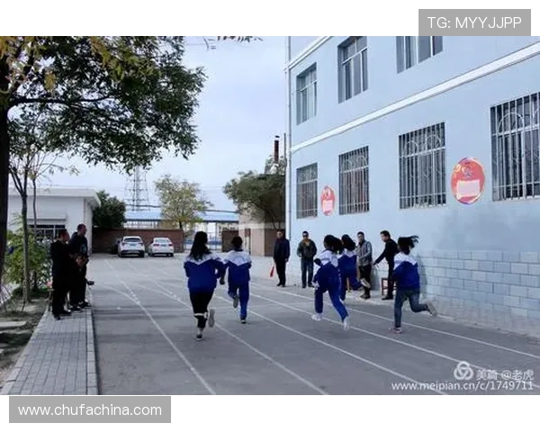 李强的排球人生深度对话:从少年梦想到职业巅峰的心路历程 李强的排球人生深度对话:从少年梦想到职业巅峰的心路历程