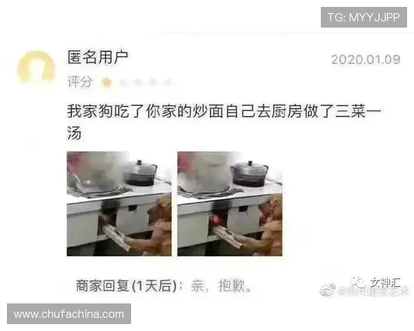 弗赖堡与多特蒙德精彩对决回放分析及赛后点评