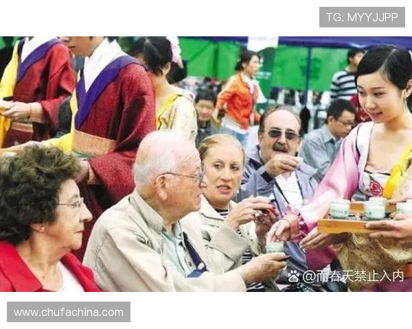 斯通斯乐队的音乐传奇与文化影响力探讨