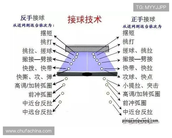 聚焦乒乓球技术交流：杭州乒乓球队的训练与战术探讨